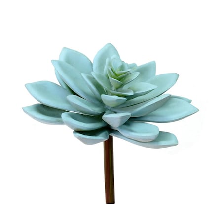Dare2Decor 4.5 in. Green Graptoveria Titubans Pick DA3246077